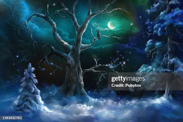 fairy winter night - magical forest stock illustrations