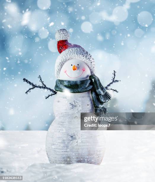 bonhomme de neige heureux dans la scène d'hiver - snowman photos et images de collection