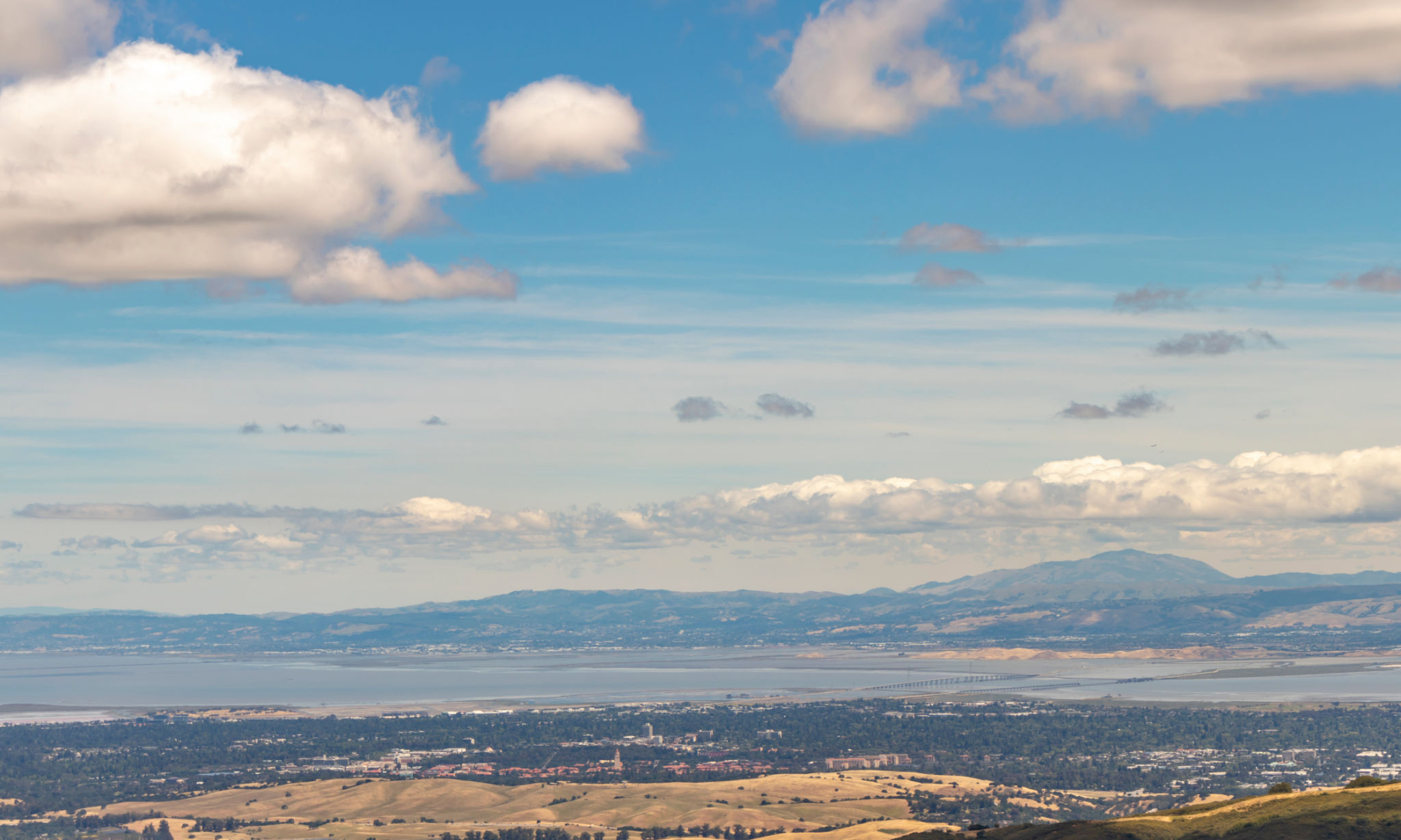 stanford dish