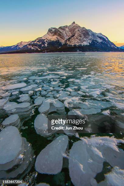 ijsbel bij banff - abraham lake stockfoto's en -beelden