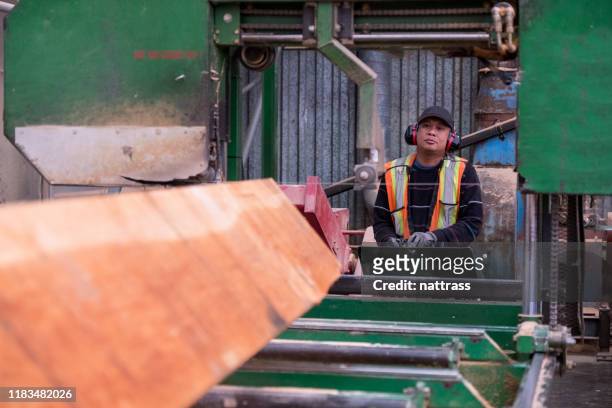 cutting large pieces of wood in the industrial timber factory - forestry stock pictures, royalty-free photos & images