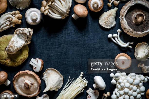 verschillende soorten eetbare paddenstoelen - shiitake mushroom stockfoto's en -beelden