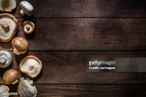 verschillende soorten eetbare paddenstoelen met kopieer ruimte - shiitake mushroom stockfoto's en -beelden