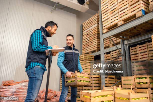 fresh fruits and vegetables in warehouse - kiwi fruit stock pictures, royalty-free photos & images