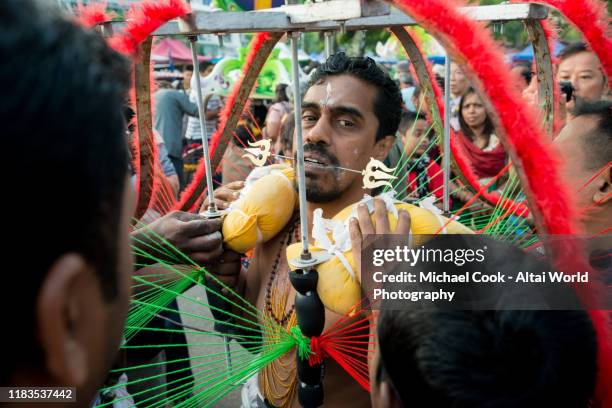 Kavade Shells 33 Thaipusam Kavadi Bearers Stock Photos, High-Res Pictures, and Images ...