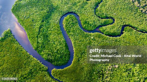 daintree river bends - río fotografías e imágenes de stock