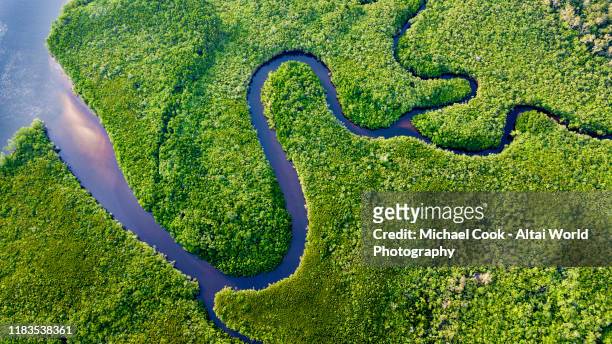 daintree river bends - australian rainforest photos et images de collection