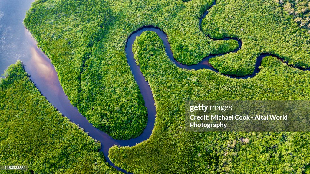 Daintree River Bends