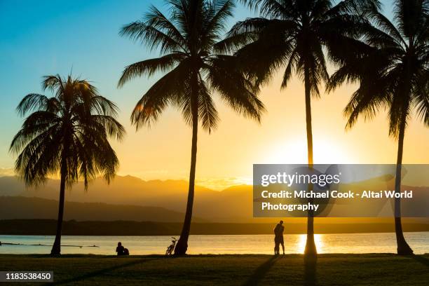 rex smeal park - port douglas stock pictures, royalty-free photos & images