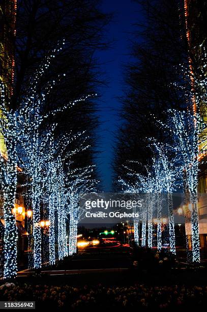 street with christmas decorations - reston stock pictures, royalty-free photos & images