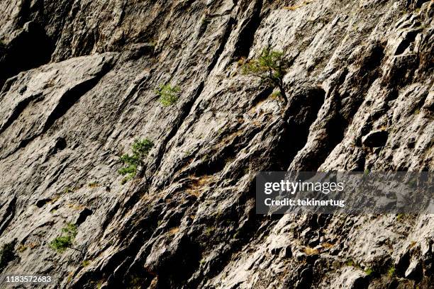 Shired Rocks 34,040 Sheer Rock Walls Stock Photos, High-Res Pictures, and Images ...