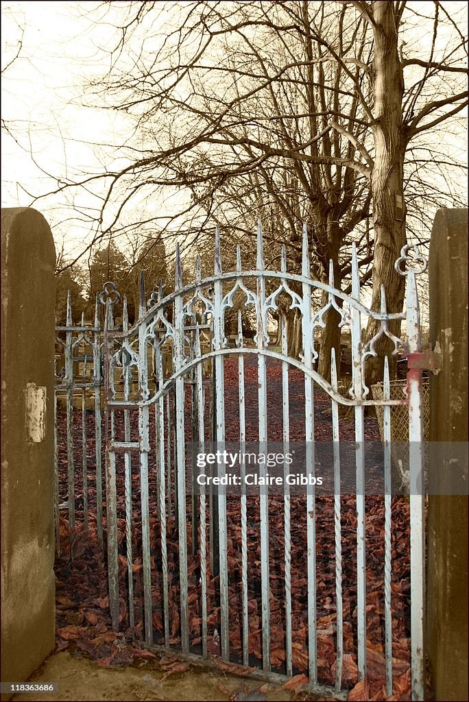 Rusting white iron gate, leading into graveyard.