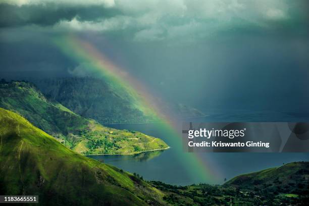 catch the rainbow - rainbow forrest abstract bildbanksfoton och bilder