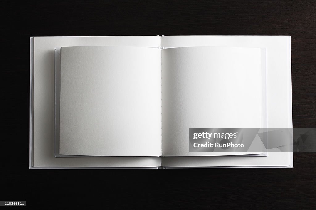 Blank concept,two of the open book