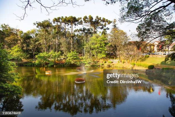 nova petrópolis, rio grande do sul, brazil. - rio grande do sul stockfoto's en -beelden