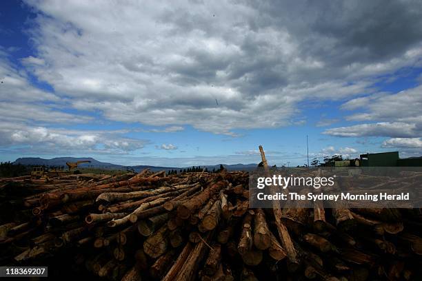 Gunns wood chip mill in Tribanna, Tasmania, 17 March 2005.