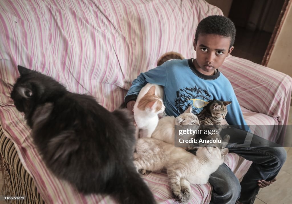 Palestinians look after street animals in Gaza