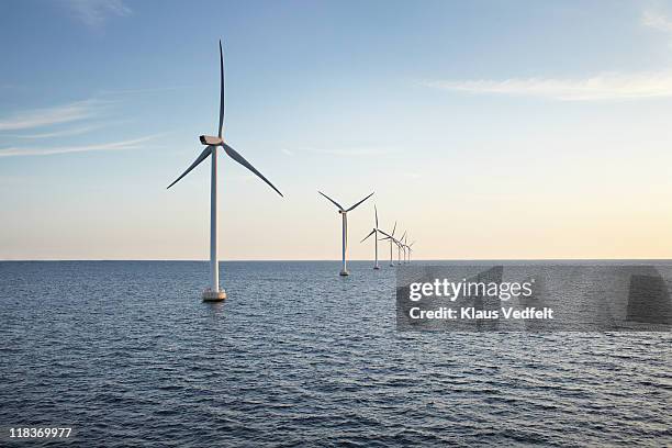 row of winturbines in the sea shot in the sunset - windenergie stockfoto's en -beelden