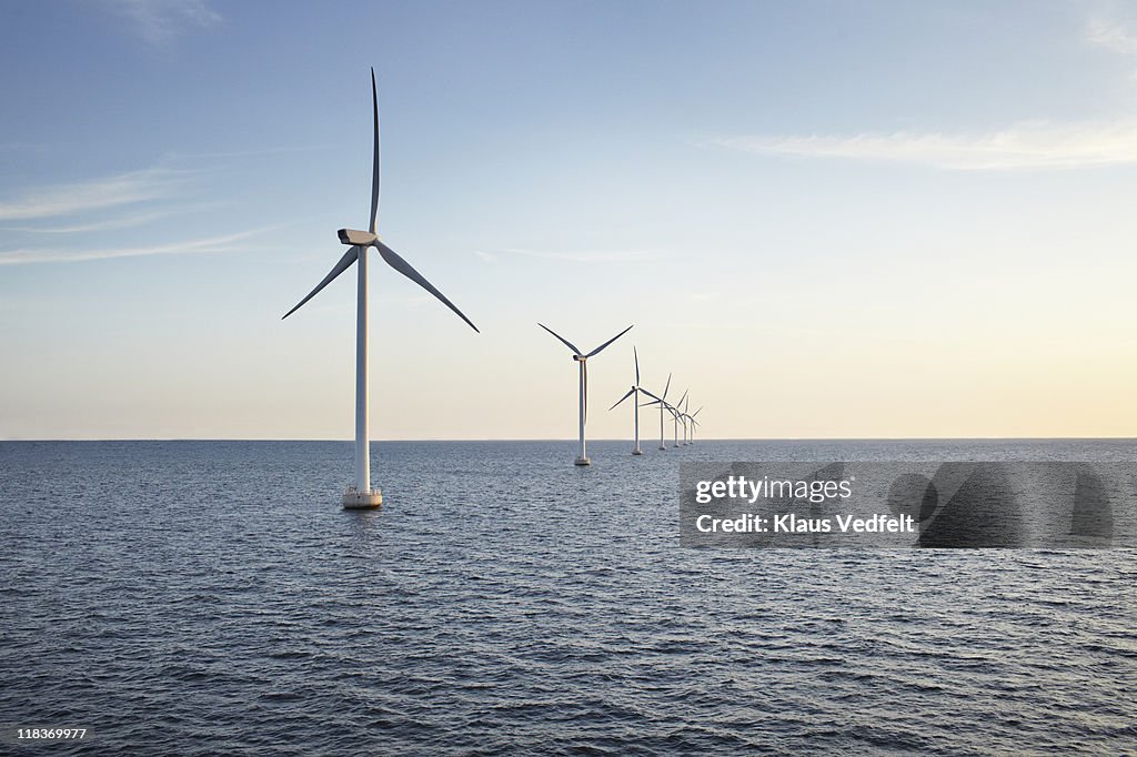 Row of winturbines in the sea shot in the sunset