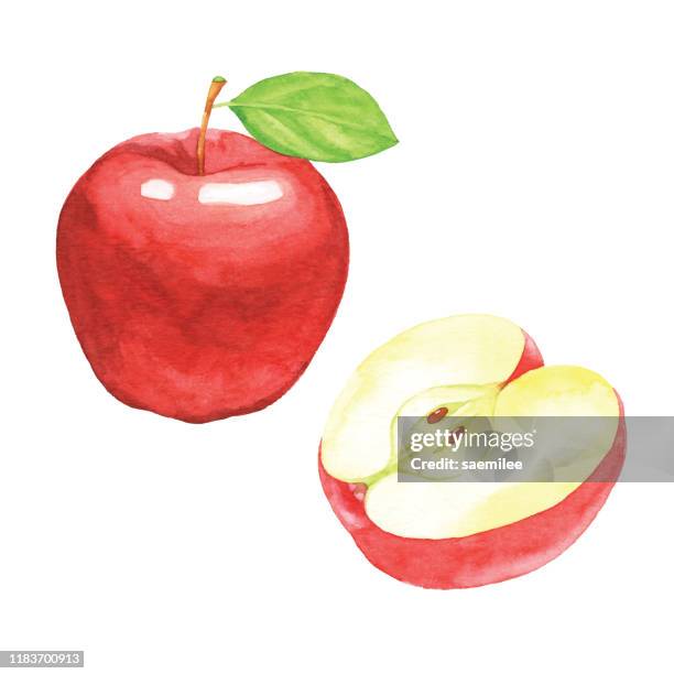 stockillustraties, clipart, cartoons en iconen met aquarel rode appels - fruit art