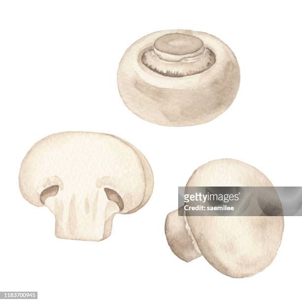 illustrazioni stock, clip art, cartoni animati e icone di tendenza di funghi acquerello - fungo