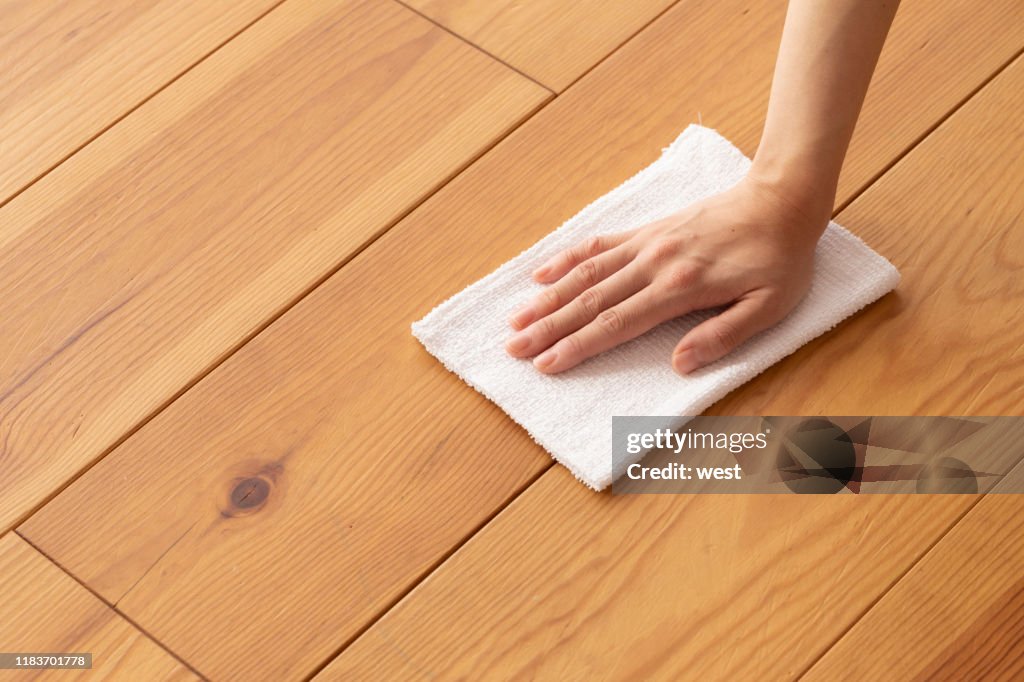 Hand Floor Hand Of A Young Woman Wiping The Wood Floor With A Rag High-Res Stock ...