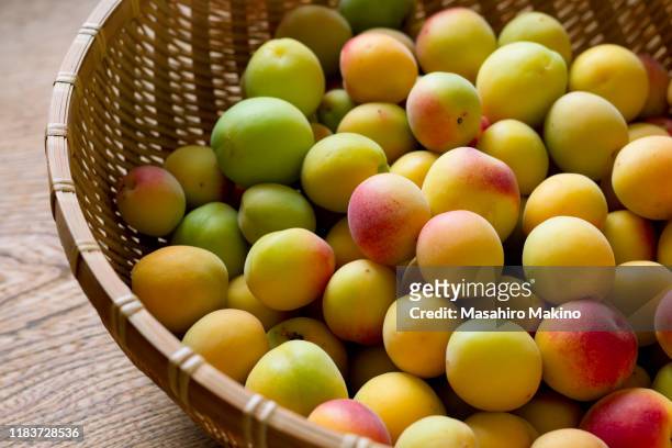 japanese plums - prunus mume stockfoto's en -beelden