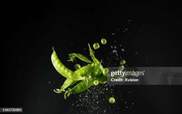 pisum sativum flying in mid air captured with high speed sync.studio "n - flying food stock pictures, royalty-free photos & images