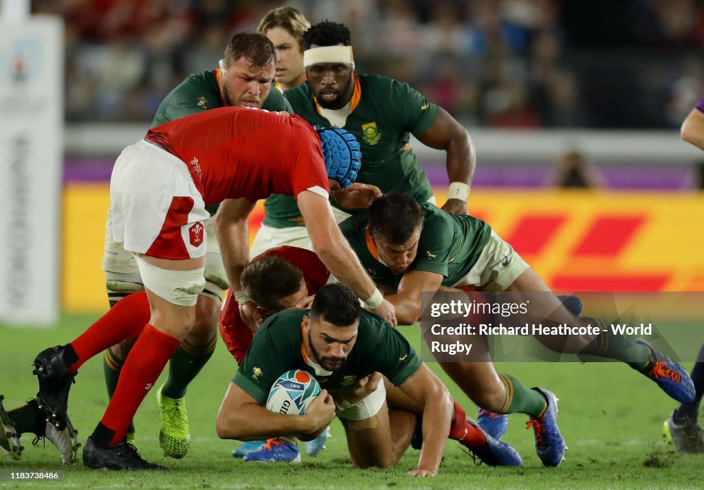 Wales v South Africa - Rugby World Cup 2019: Semi-Final