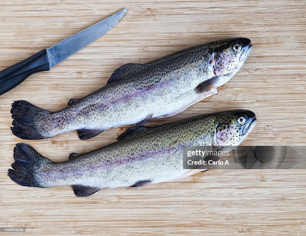 Trouts