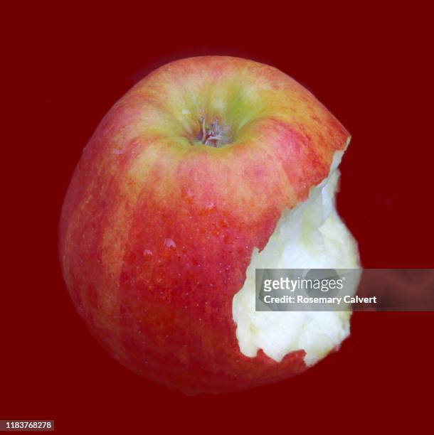 bite out of sweet & crisp rubens apple, on dark red square. - pomme croquée photos et images de collection