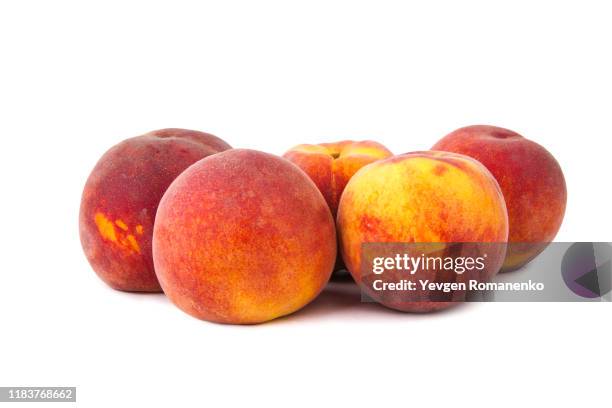 peach fruit isolated on white - nektarine stock-fotos und bilder