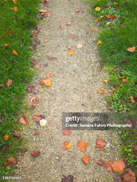 Path Slipping 39 Slipping A Bergen Stock Photos, High-Res Pictures, and Images ...