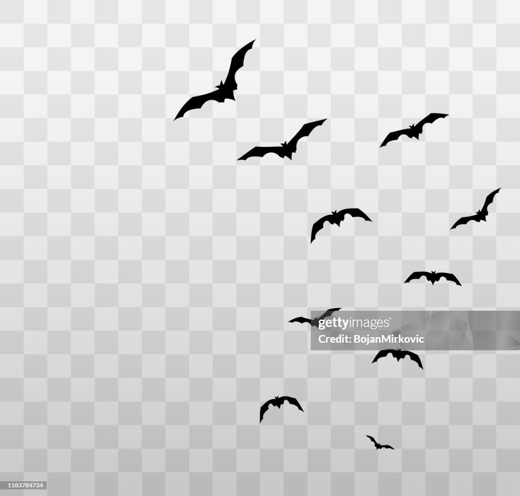 Fliegende Halloween Fledermäuse auf transparentem Hintergrund. Vektor