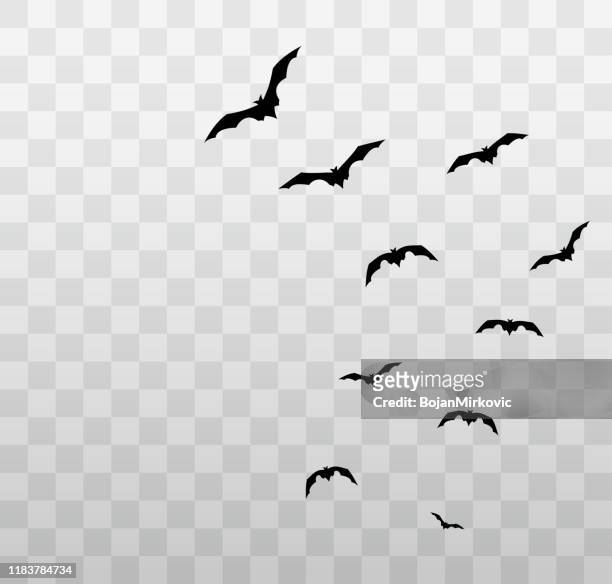 illustrazioni stock, clip art, cartoni animati e icone di tendenza di pipistrelli di halloween volanti su sfondo trasparente. vettore - halloween