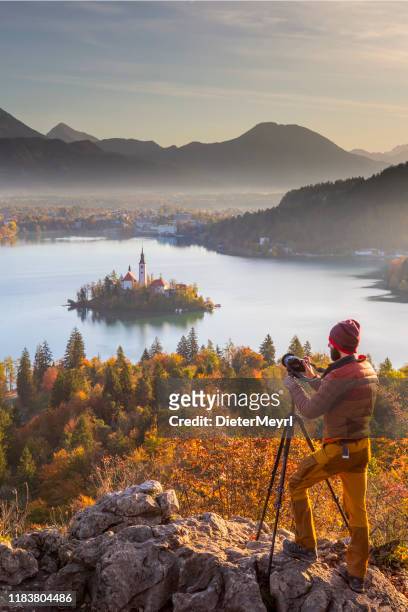 fotografo naturalistico con treppiede al lago di bled, slovenia - lago di bled foto e immagini stock