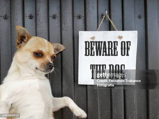 beware of the dog - beware of dog stock-fotos und bilder