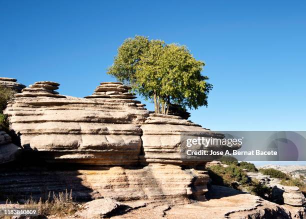 rocky mountain scenery eroded by water and wind, (karstic formations). torcal de antequera, spain. - paraje natural torcal de antequera stock pictures, royalty-free photos & images