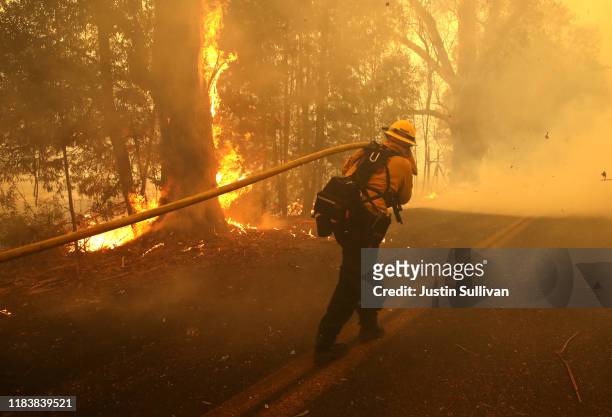 Firefighter pulls a hose to spray water on a burning tree as he battles the Kincade Fire on October 27, 2019 in Windsor, California. Fueled by high...