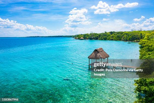 thatch cabin at the paradise white sand beach of bacalar, mexico - cozumel fotografías e imágenes de stock