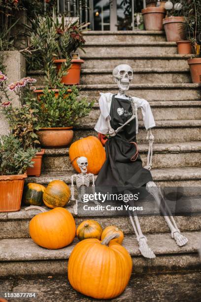 halloween time - halloween skeleton stock pictures, royalty-free photos & images