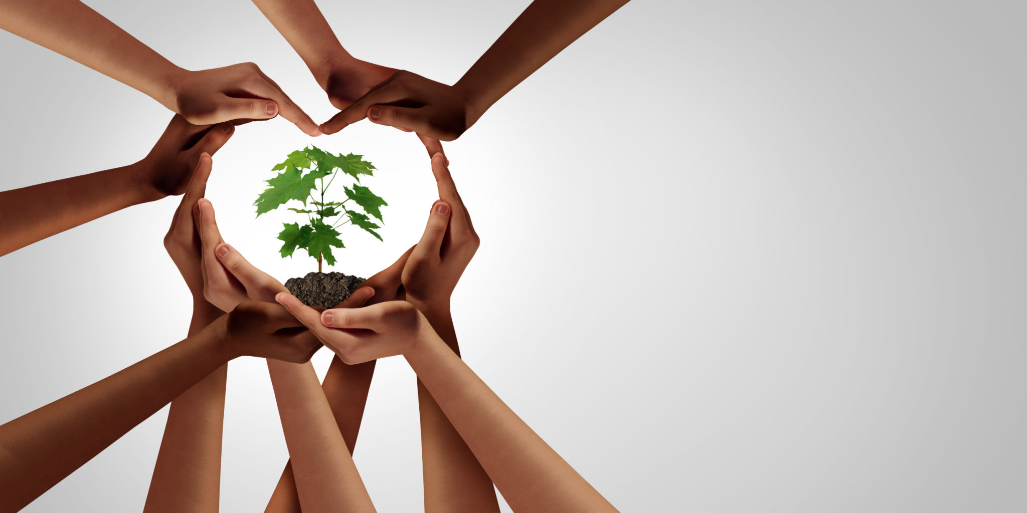 environmental preservation