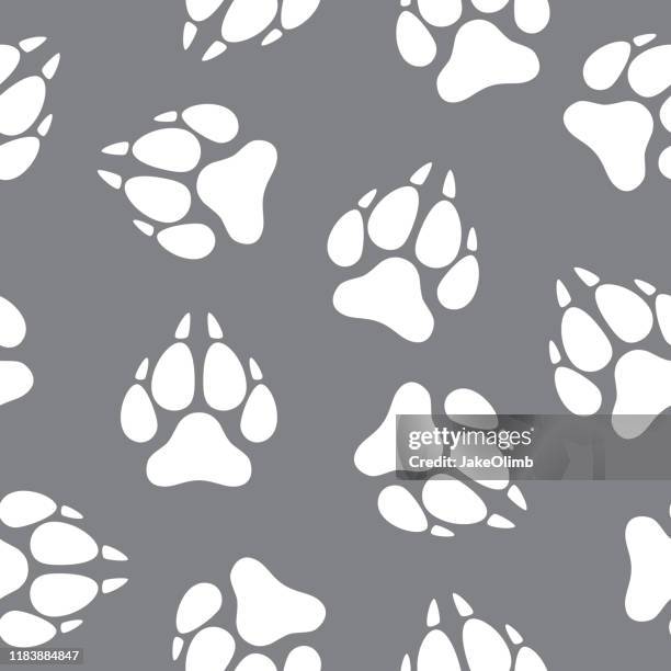ilustrações de stock, clip art, desenhos animados e ícones de wolf paw print pattern - wolf wallpaper