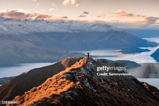 man standing on the top of mount roy - roy stock pictures, royalty-free photos & images