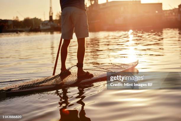 man standing on paddleboard on river at dawn, shot from behind - paddle board stock pictures, royalty-free photos & images