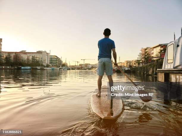 man standing on paddleboard on river at dawn, shot from behind - paddleboard stockfoto's en -beelden