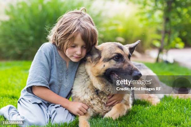 5 year old boy playing with his german shepherd dog on green lawn - german shepherd sitting stock pictures, royalty-free photos & images