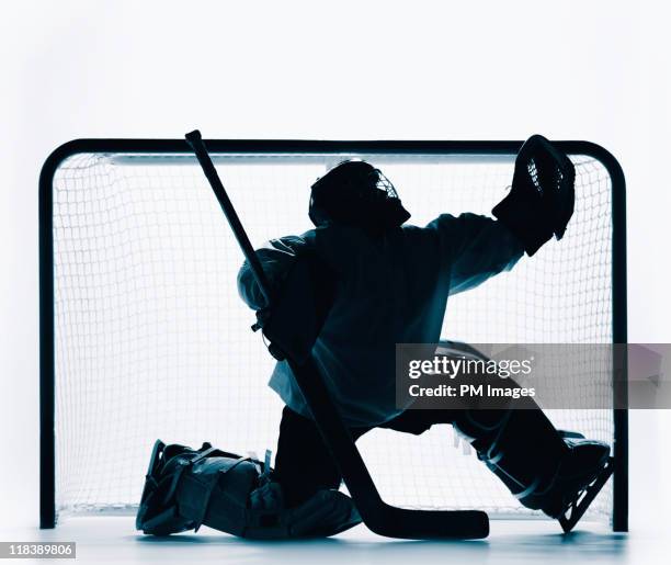 hockey goalie - hockey goalie stock pictures, royalty-free photos & images