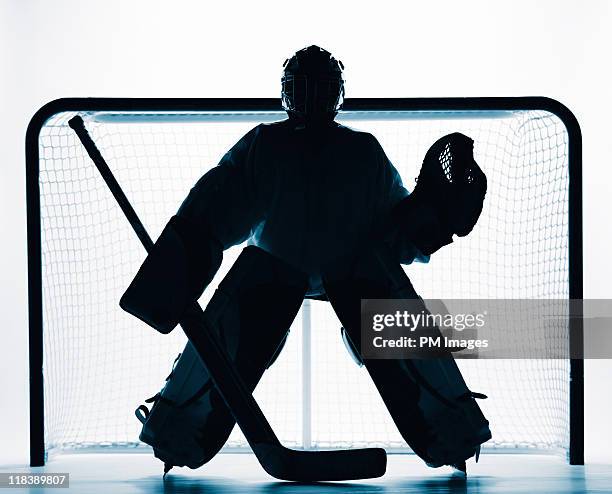 hockey goalie - portiere giocatore di hockey su ghiaccio foto e immagini stock