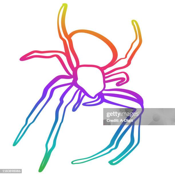 spinne halloween element regenbogen - spinnenphobie stock-grafiken, -clipart, -cartoons und -symbole